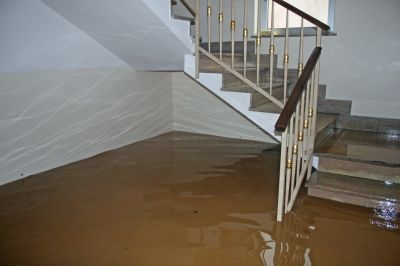 Basement Drying in Scottsdale, AZ