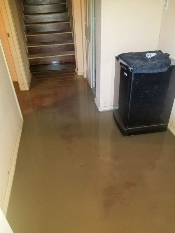 Basement Water Extraction in Phoenix, AZ