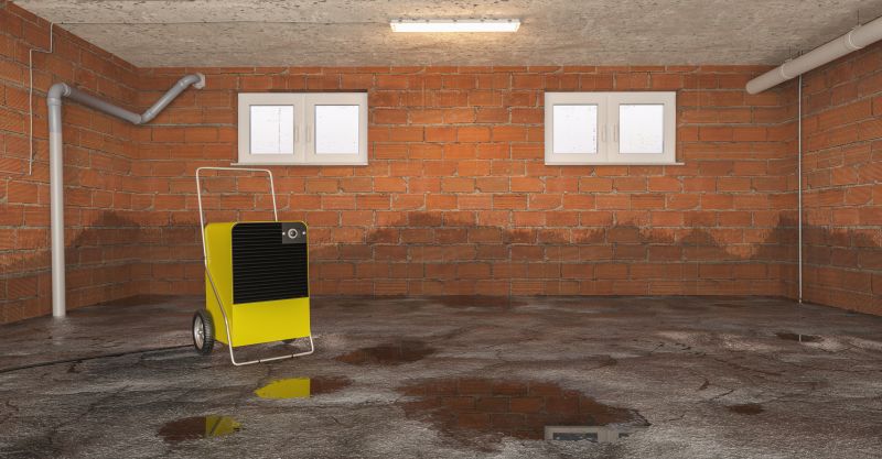 Basement Water Mitigation in Gilbert, AZ