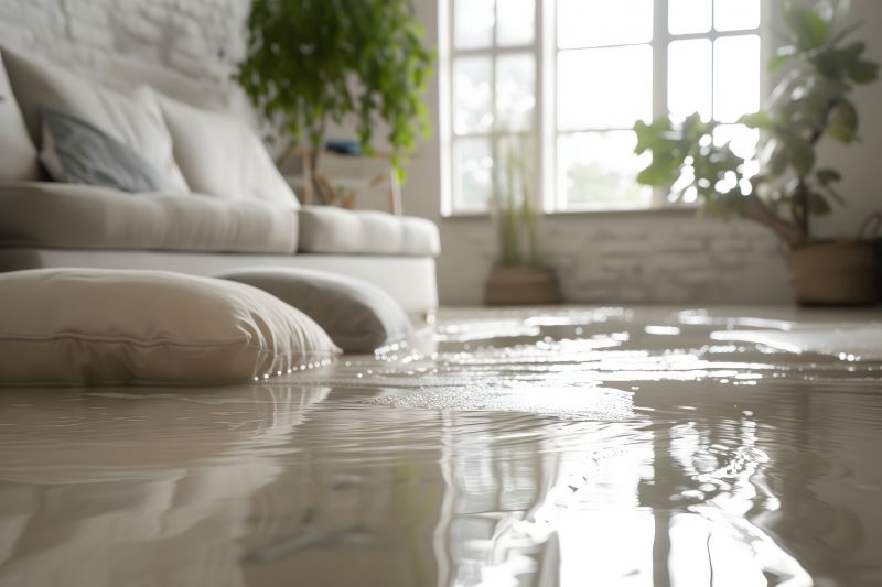 Flooded Basement Cleanup in Phoenix, AZ