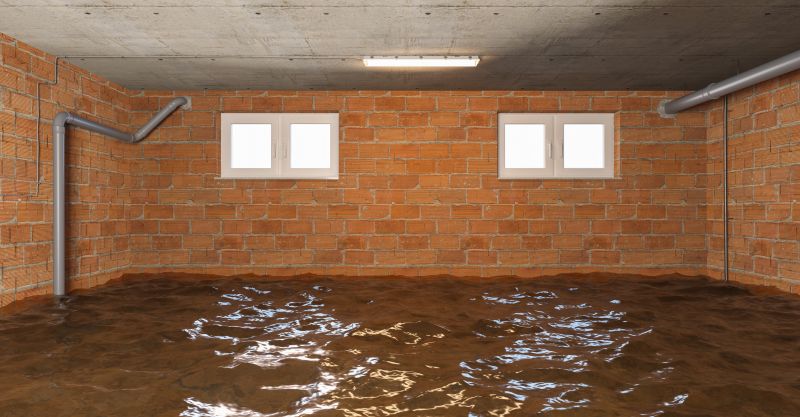 Flooded Basement Cleanup in Mesa, AZ