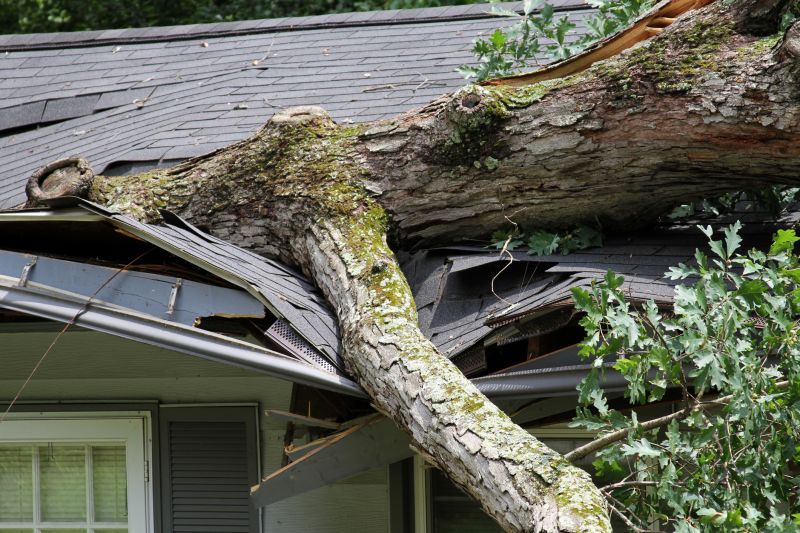Storm Damage Cleanup in Mesa, AZ