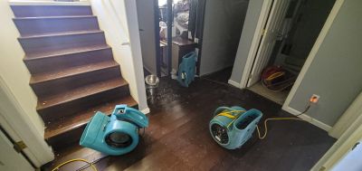 Storm Damage Cleanup in Chandler, AZ
