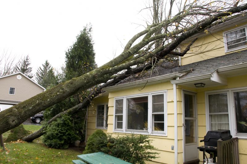 Storm Damage Cleanup in Phoenix, AZ