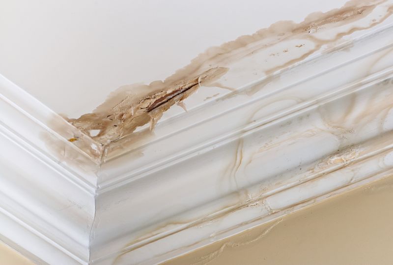 Water Damage Repair in Scottsdale, AZ