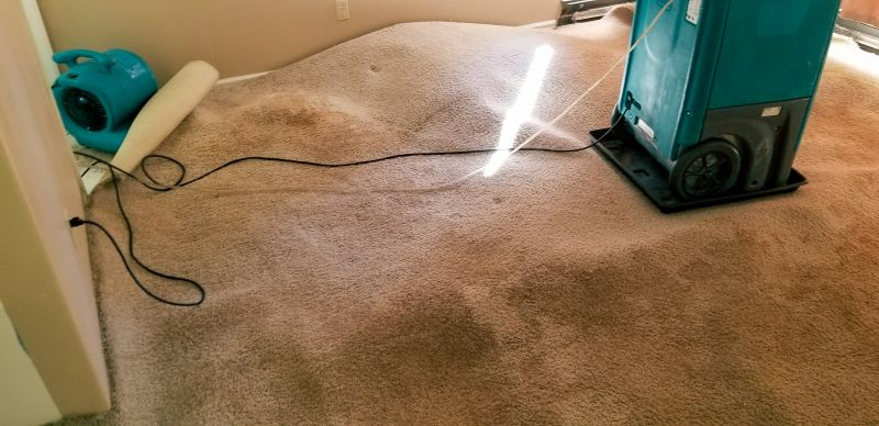 Water Extraction Service in Phoenix, AZ