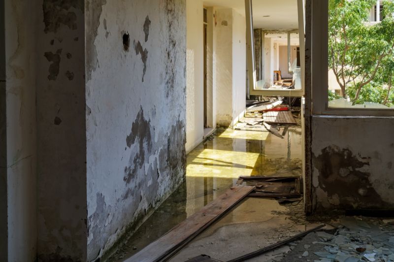 Water Removal Service in Mesa, AZ