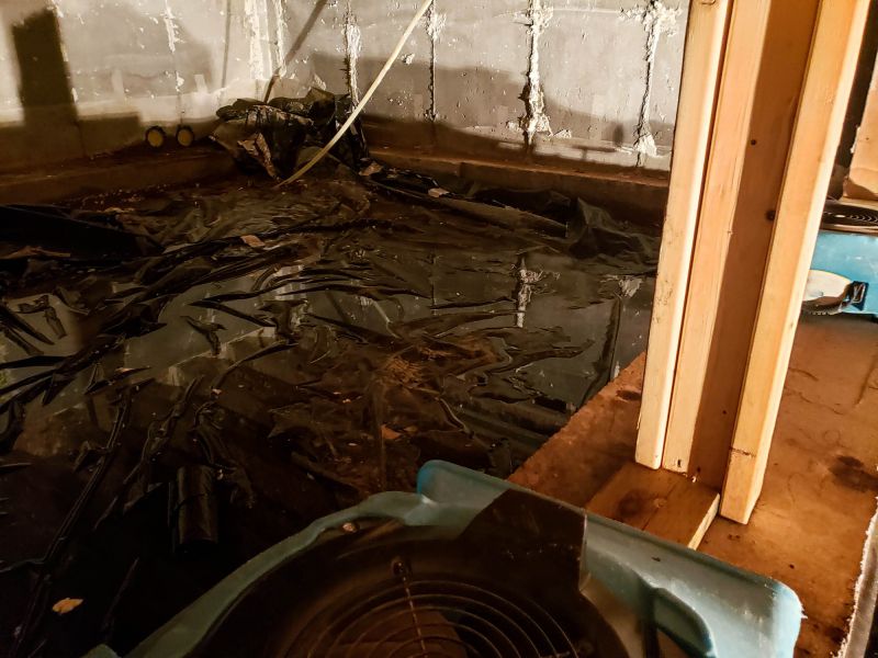 Water Removal Service in Mesa, AZ