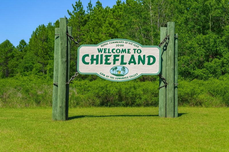 Local Basement Leak Repair in Chiefland, FL