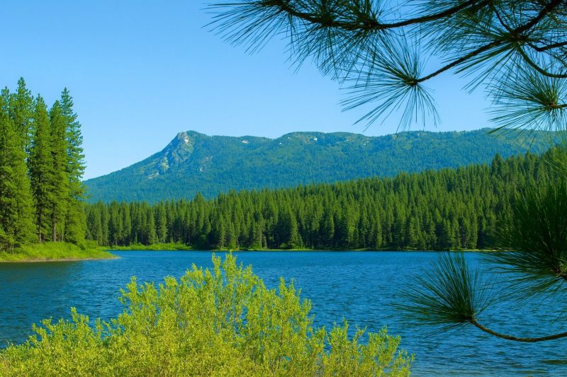 Local Basement Leak Repair in Antelope, CA