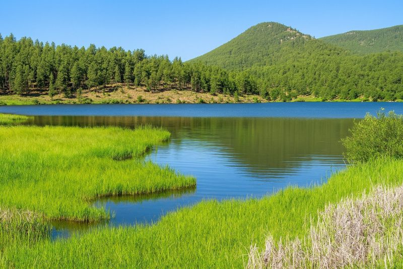 Local Basement Leak Repair in Evergreen, CO