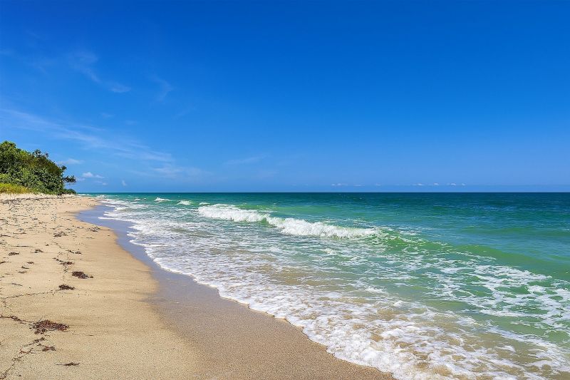 Local Basement Sealing Service in Dunedin, FL