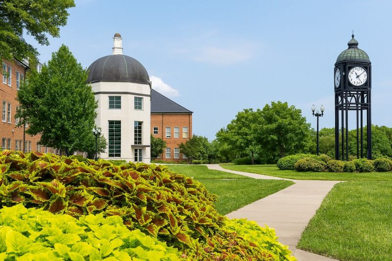 Local Basement Sealing Service in O Fallon, MO