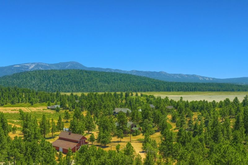 Local Basement Sealing Service in Big Bear City, CA