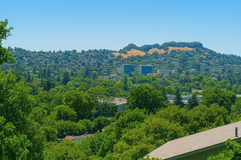 Local Crawlspace Waterproofing in Castro Valley, CA