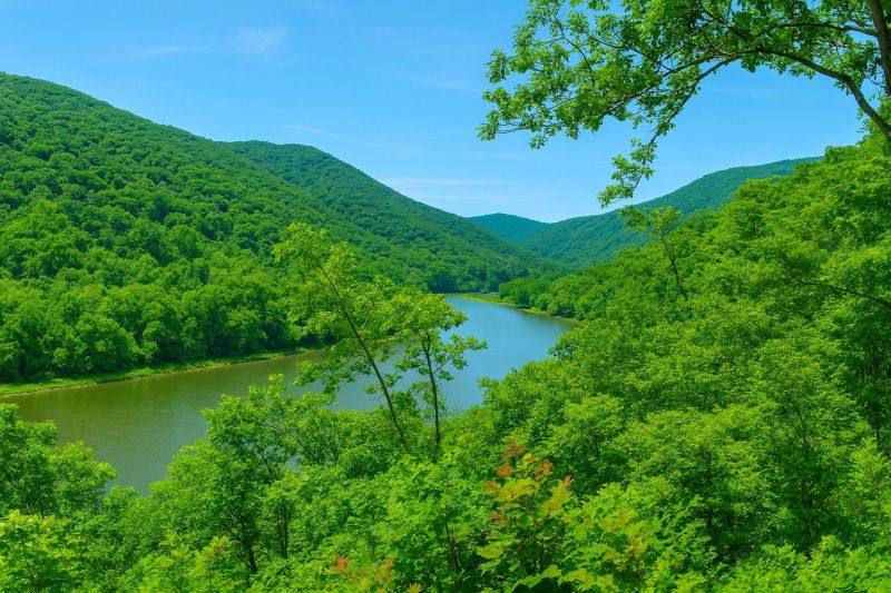 Local Crawlspace Waterproofing in Bluefield, WV