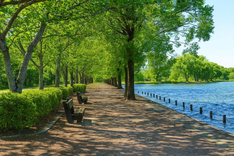 Local Foundation Waterproofing in High Ridge, MO