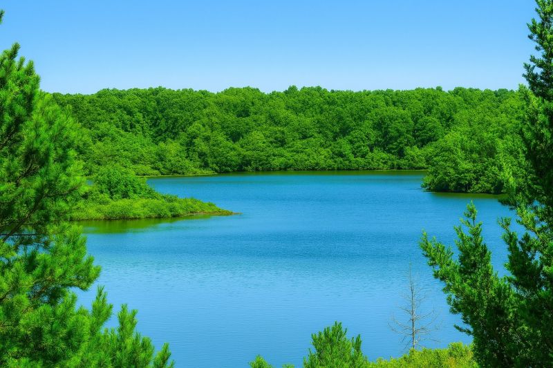 Local Foundation Waterproofing in Egg Harbor Township, NJ