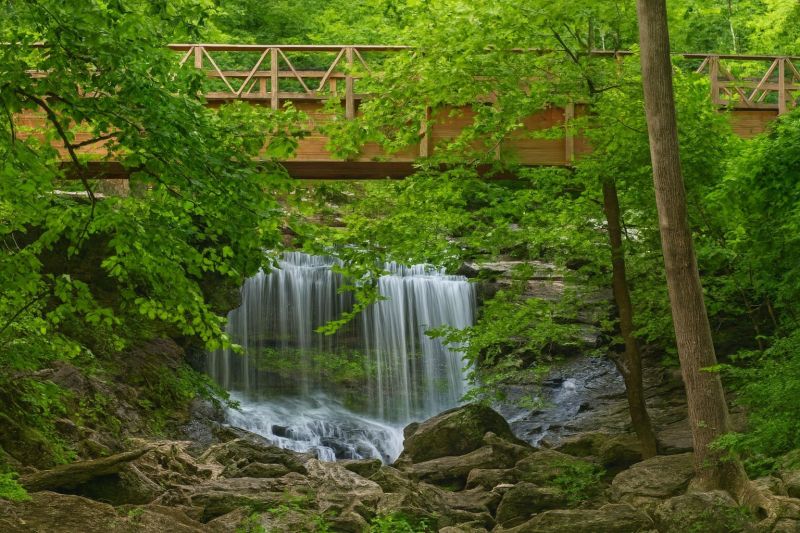 Local Vapor Barrier Installation in Bella Vista, AR