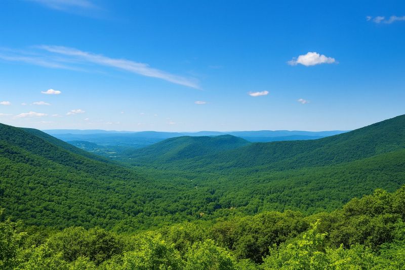 Local Vapor Barrier Installation in Forest, VA